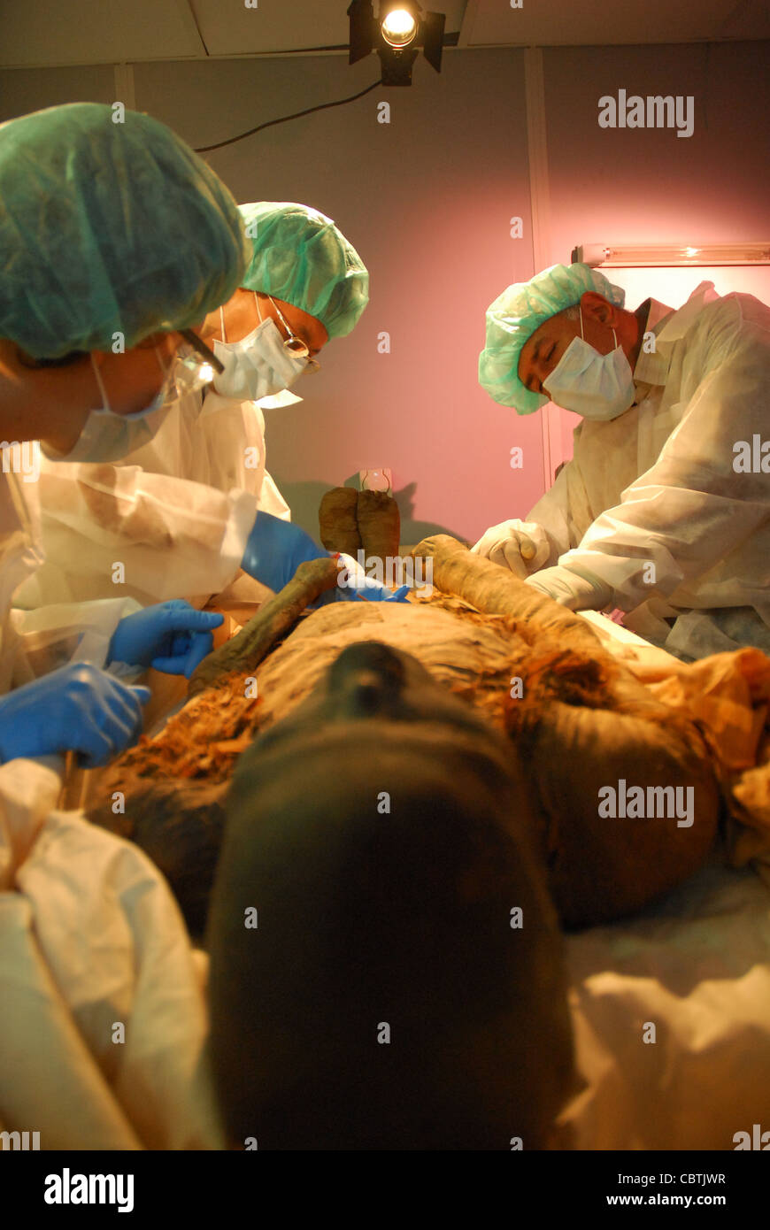 DNA tests on the Royal Mummy of Hatshepsut and her relatives Nefertari