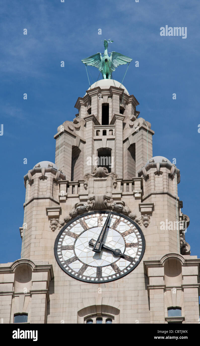 A clock tower on the Royal Liver Building with Liver bird sculpture: Liverpool, Merseyside, UK. Stock Photo
