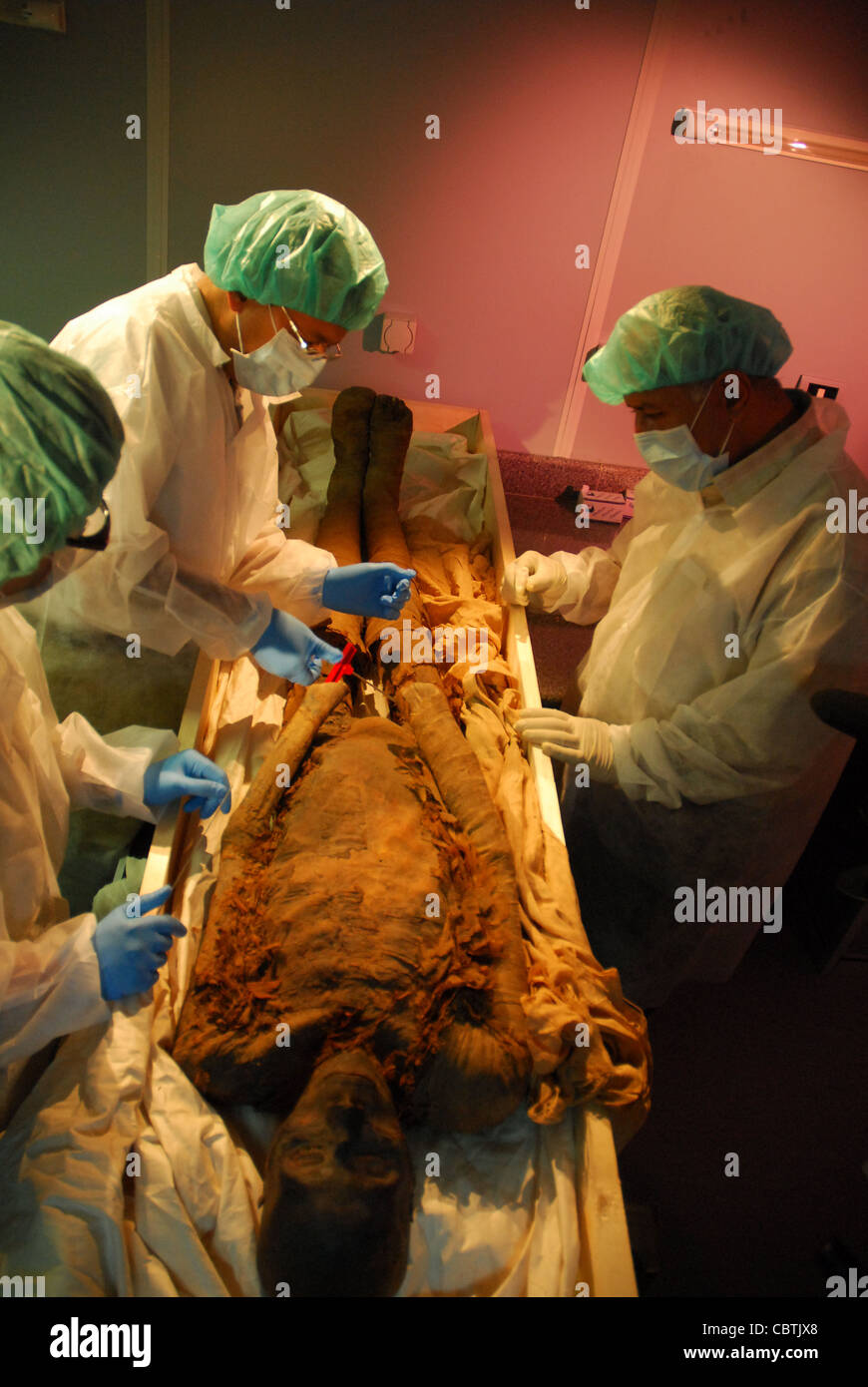 DNA tests on the Royal Mummy of Hatshepsut and her relatives Nefertari