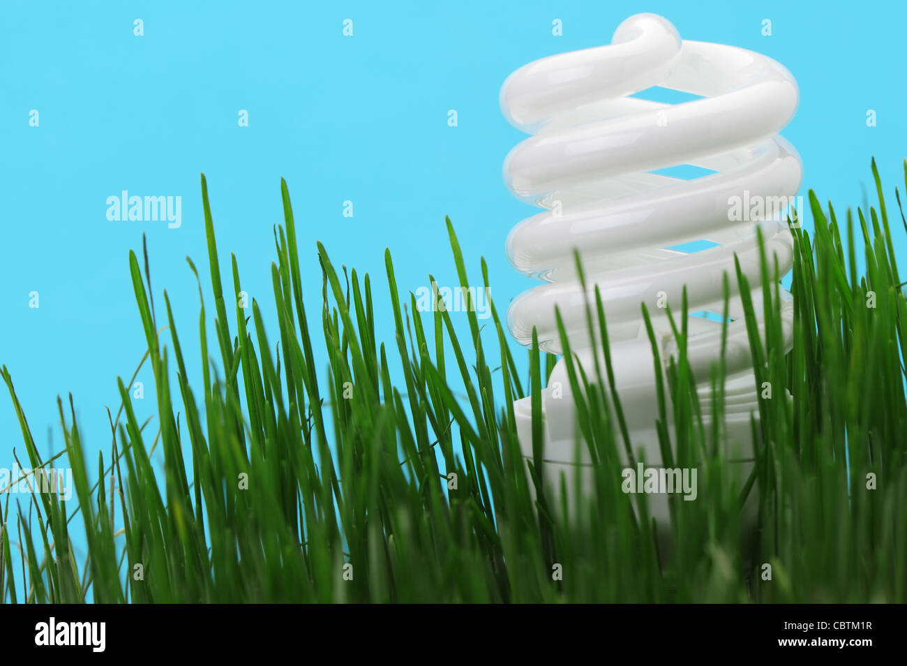 Energy saving compact fluorescent lightbulb in a green grass and on a ...