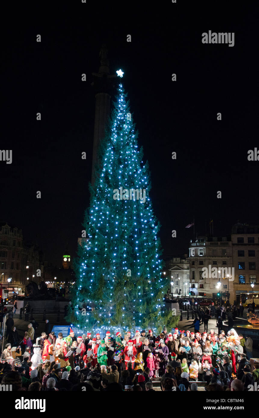 Christmas Tree and choir Trafalgar Square London Uk December 2011 Carol singers around tree. Stock Photo