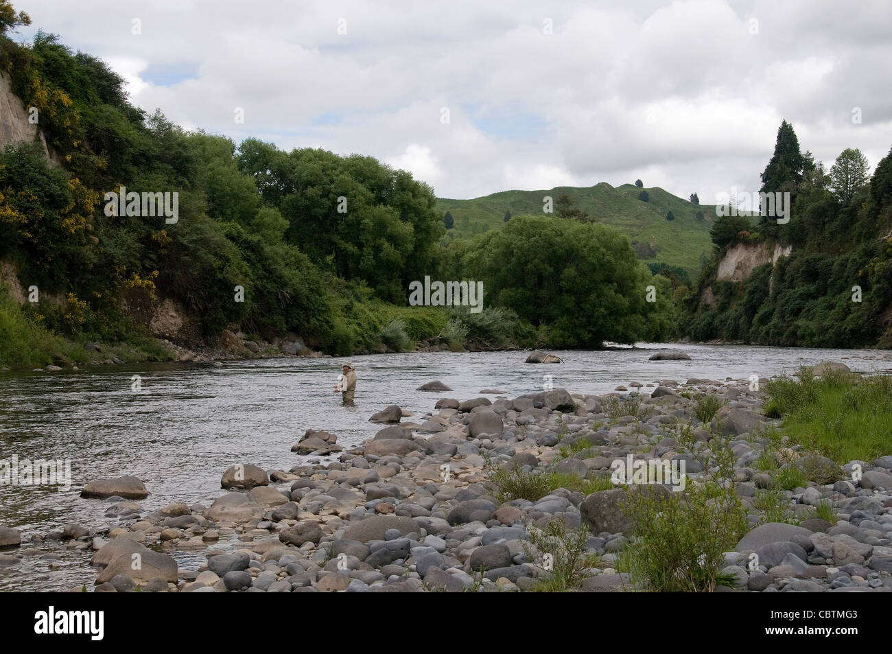 The big rainbow trout hi-res stock photography and images - Page 6 - Alamy