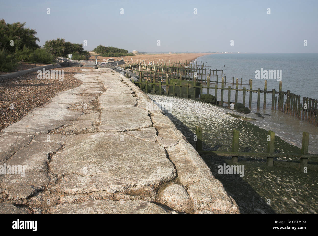 Coastal erosion, East Lane, Bawdsey, Suffolk, England Stock Photo