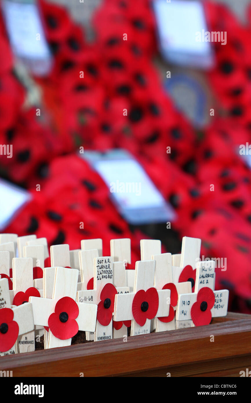 Remembrance Day Poppies Stock Photo Alamy Remembrance Day Poppies Stock Photo Alamy
