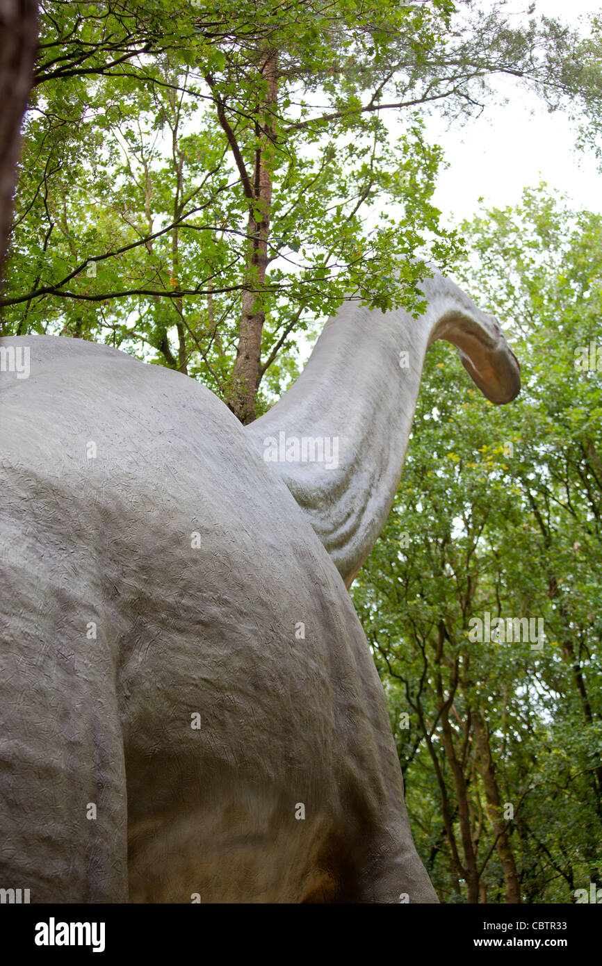 brachiosaurus in woods Stock Photo