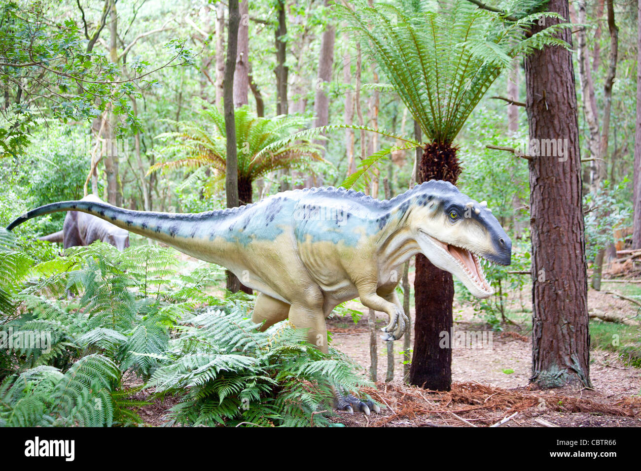 Allosaurus fossil hi-res stock photography and images - Alamy