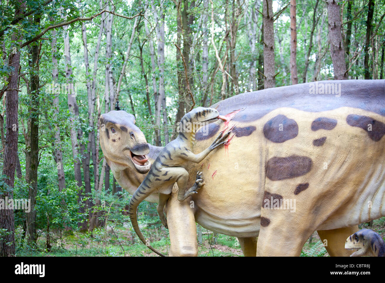 iguanodon  and deinonychus fighting in woods Stock Photo