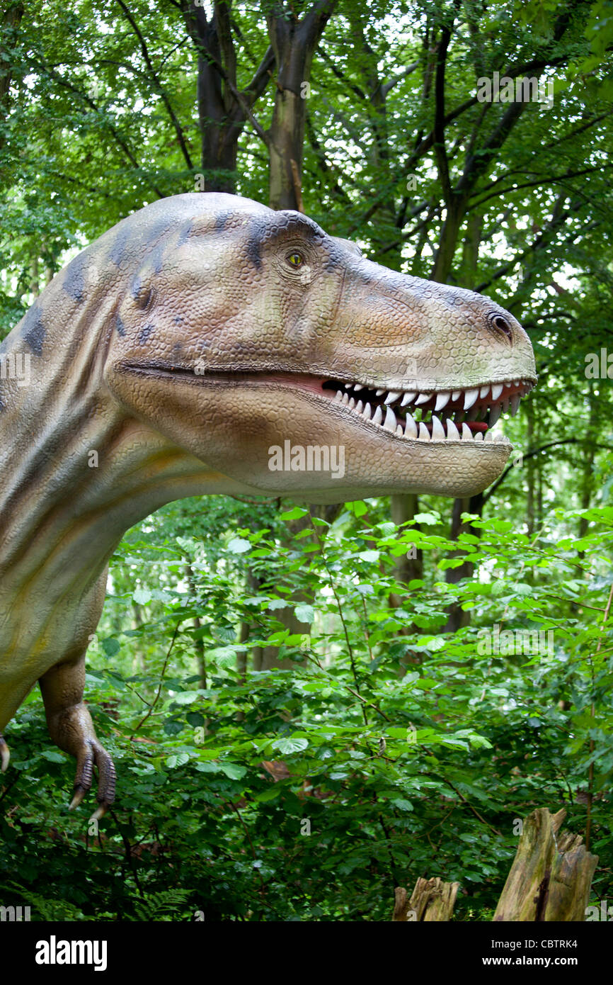 Tyrannosaurus T Rex in woods Stock Photo