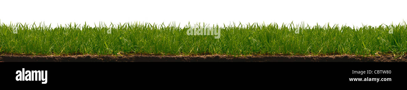 Low angle view of grass and dirt against white Stock Photo