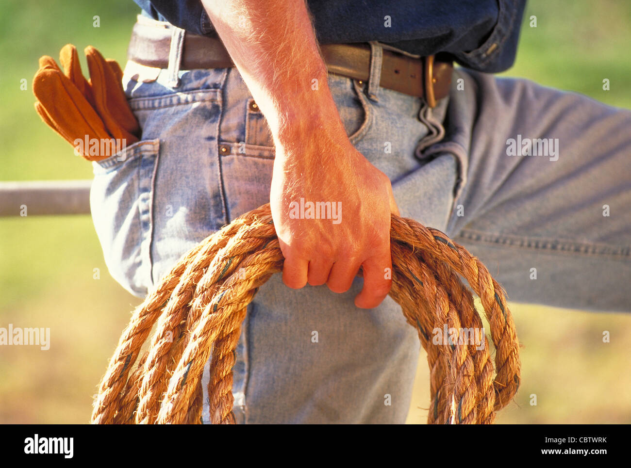 Cowboy silhouette holding rope Stock Photo