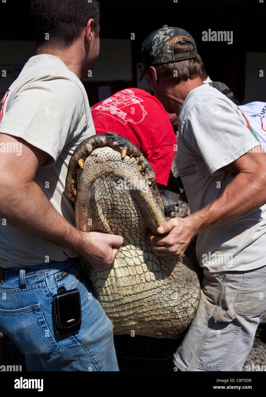 Workers at Cordray's Taxidermy in Ravenel, SC prepare a 12foot