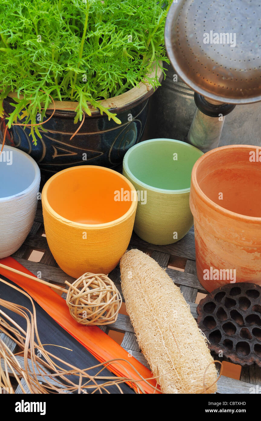 Colorful still life with pottery and dry flowers Stock Photo