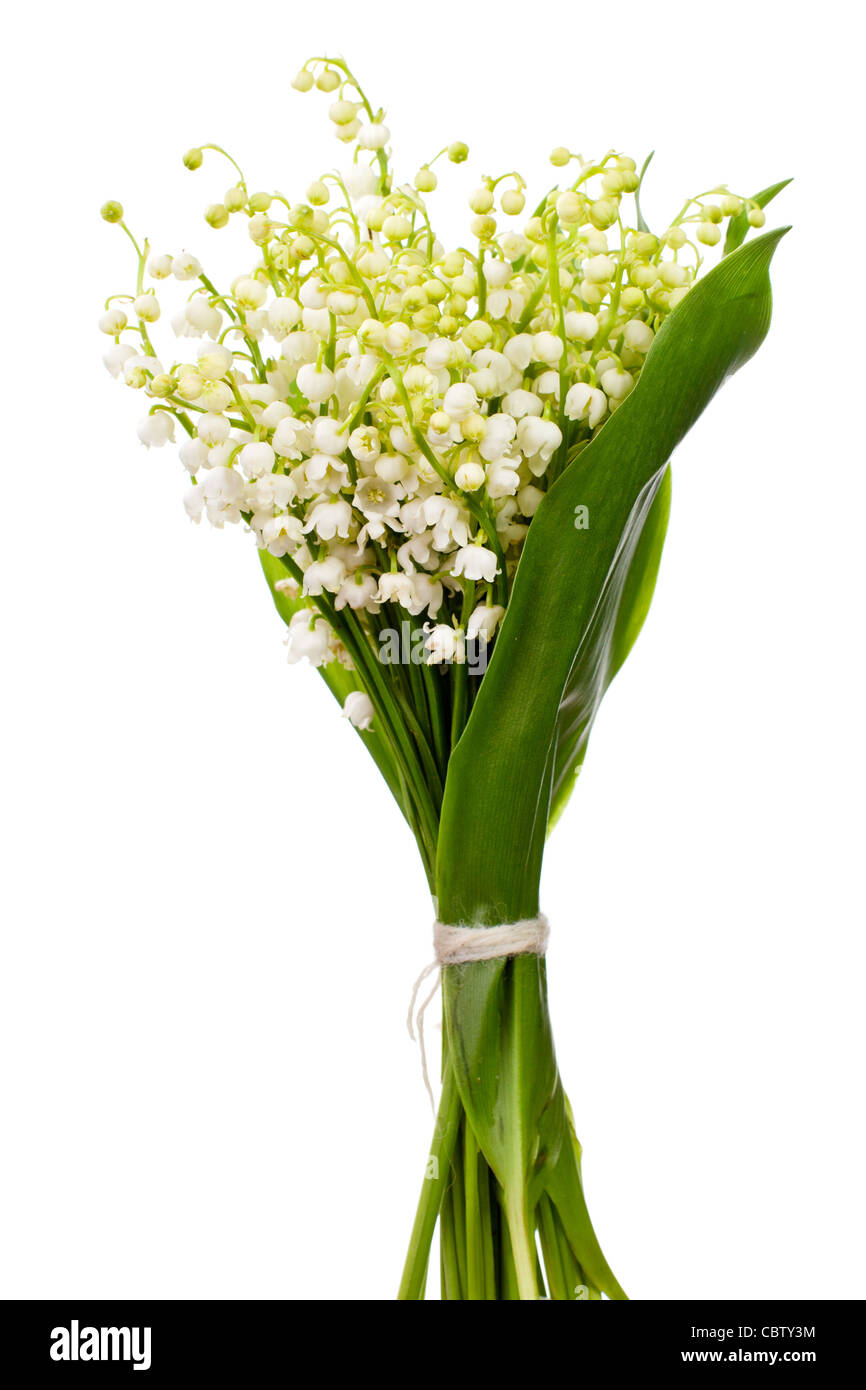 Bouquet of lily of the valley Stock Photo - Alamy