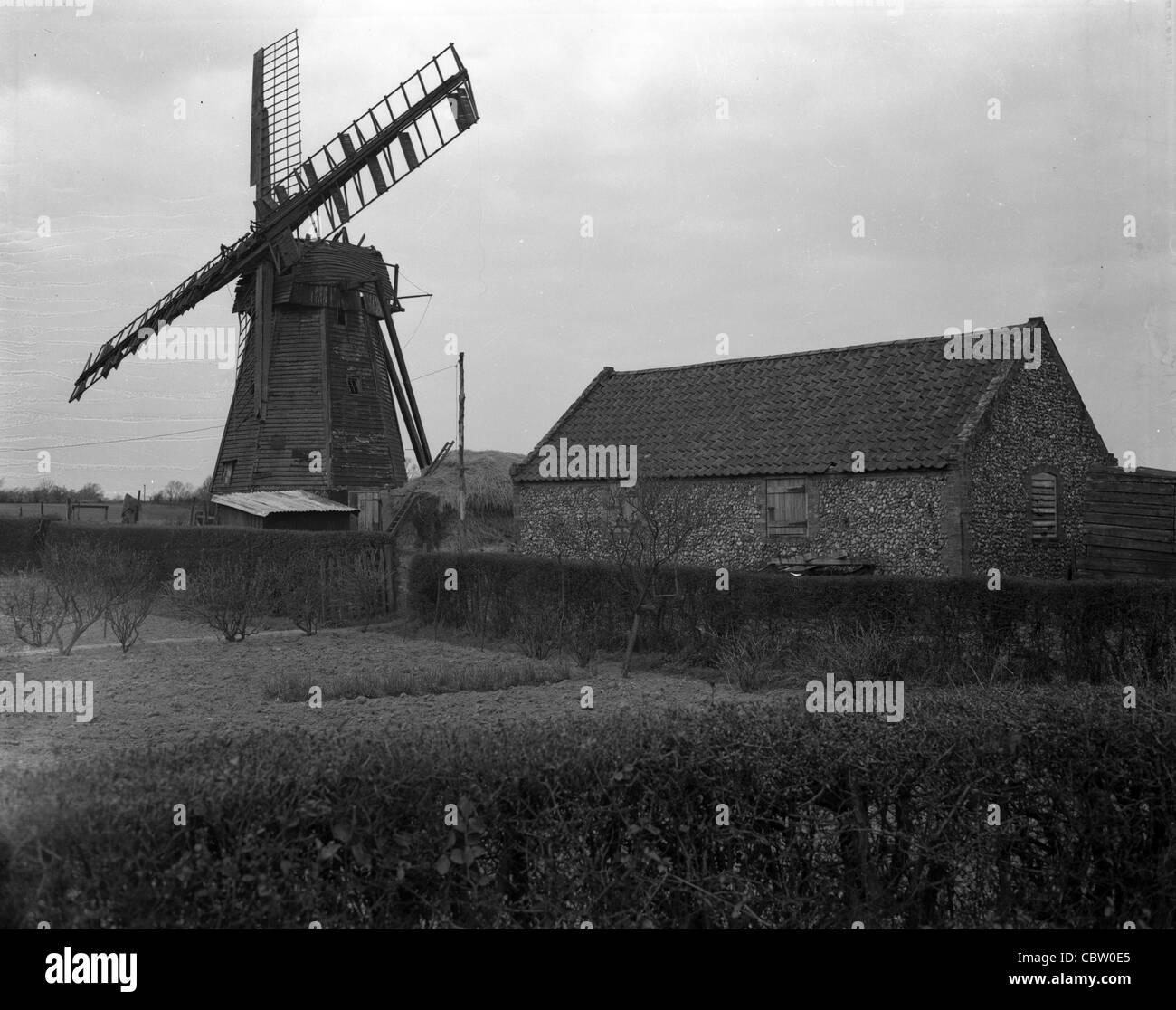 Windmill in the netherlands Stock Photo Alamy
