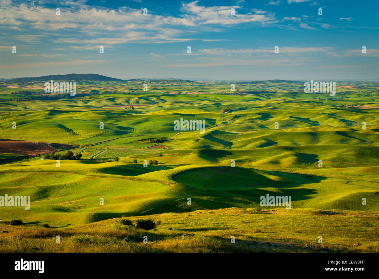 Farm fields from Steptoe Butte in the Palouse region of eastern