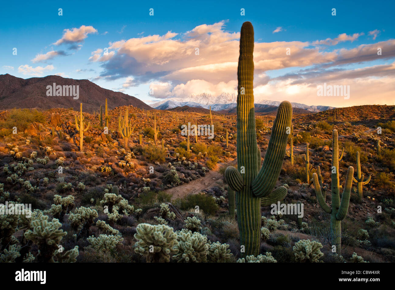 Four Peaks (Yavapai: Wikopa, at 7657 feet (2335 m) in altitude, is a ...