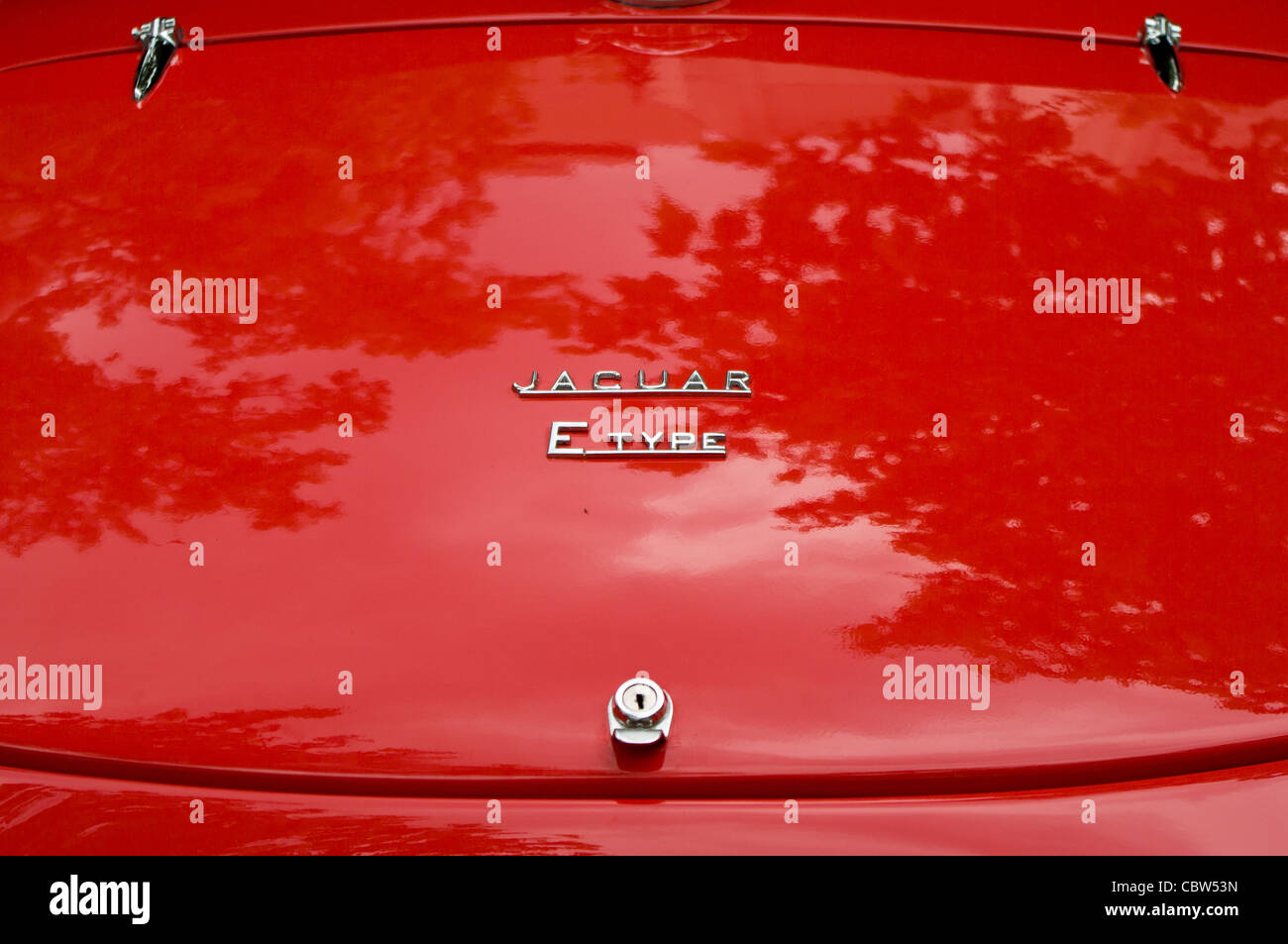 Trunk Lid car Jaguar EType Roadster Stock Photo Alamy