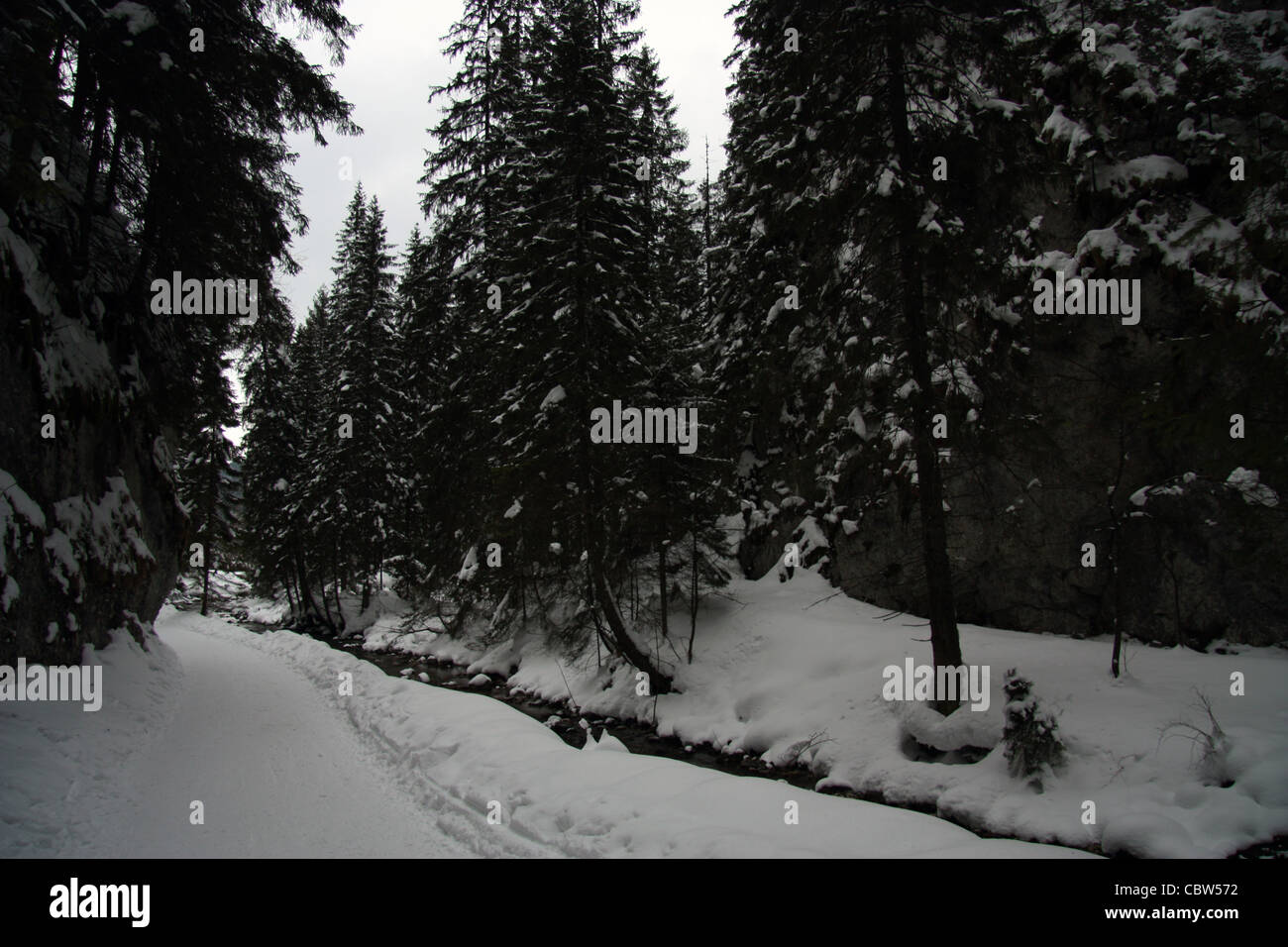 river and path in snow in the carpathian mountains in zakopane, poland. winter Stock Photo