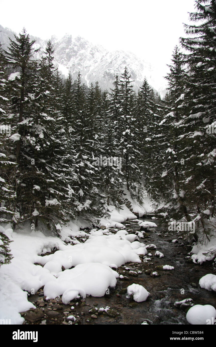 river snow in the carpathian mountains in zakopane, poland. winter Stock Photo