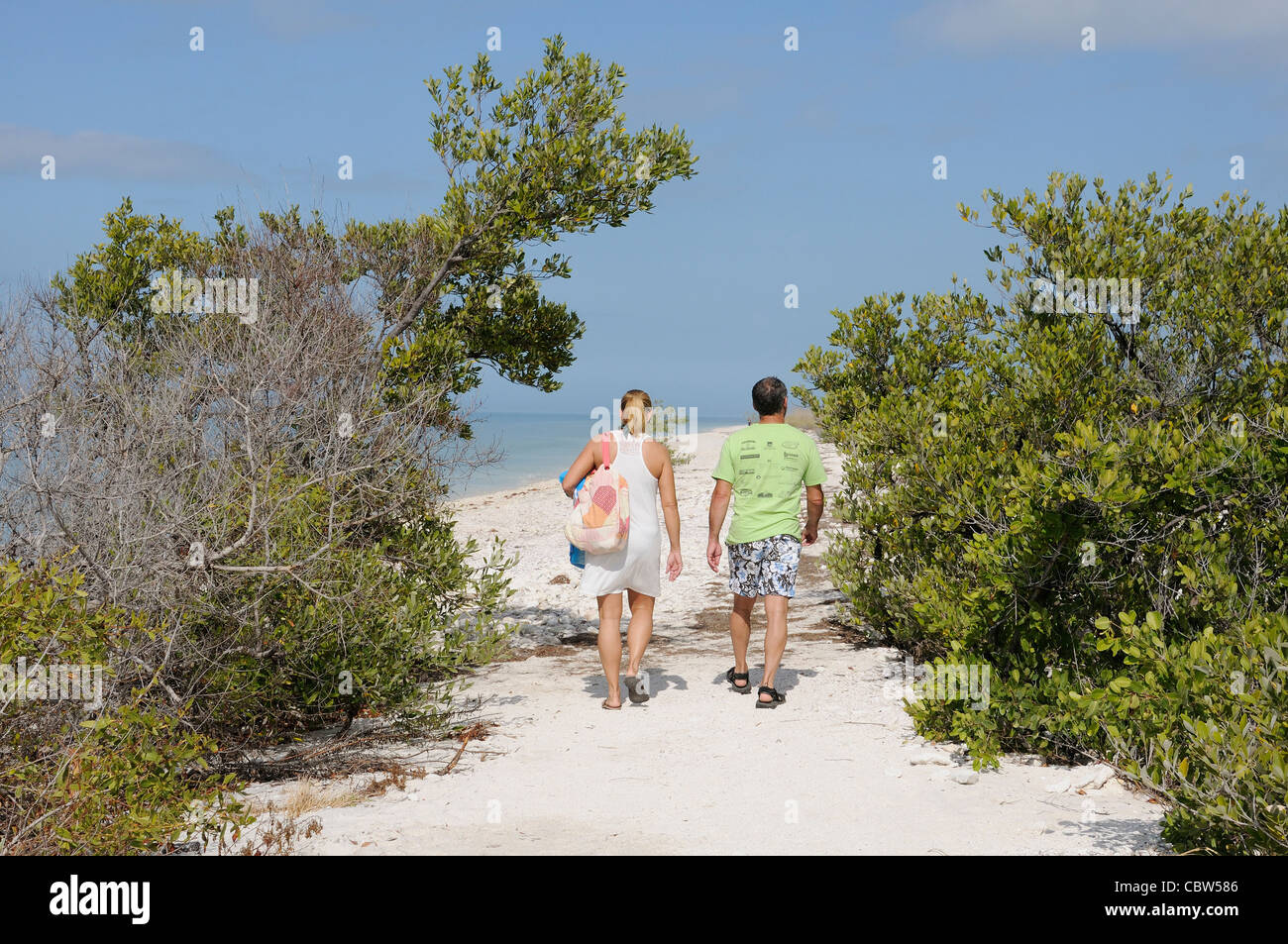 Honeymoon Island State Park on the Gulf Coast Florida USA Couple walking through the preserve
