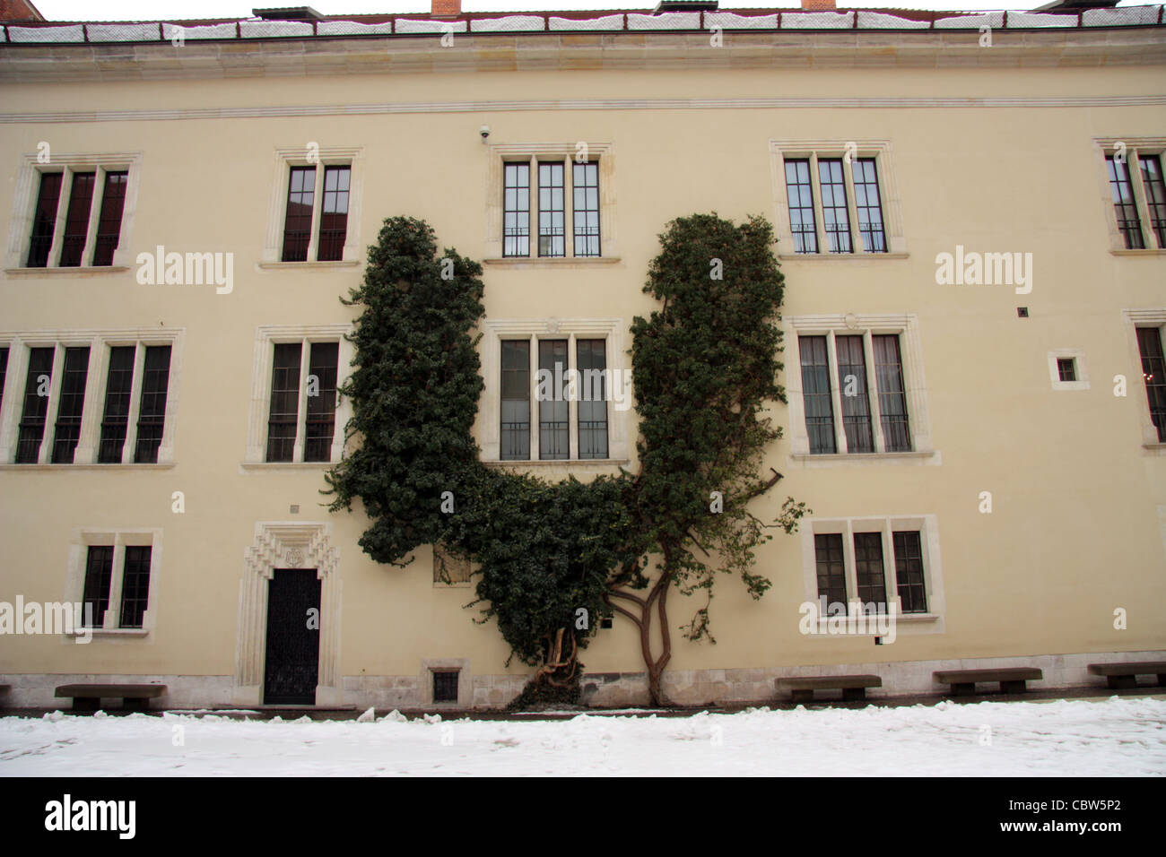 Wawel, Royal, Castle, inner, courtyard, Renaissance Stock Photo