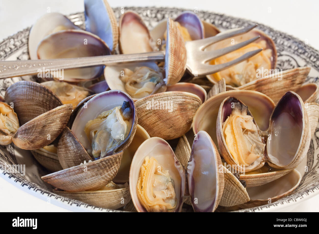 Steamers clams hires stock photography and images Alamy