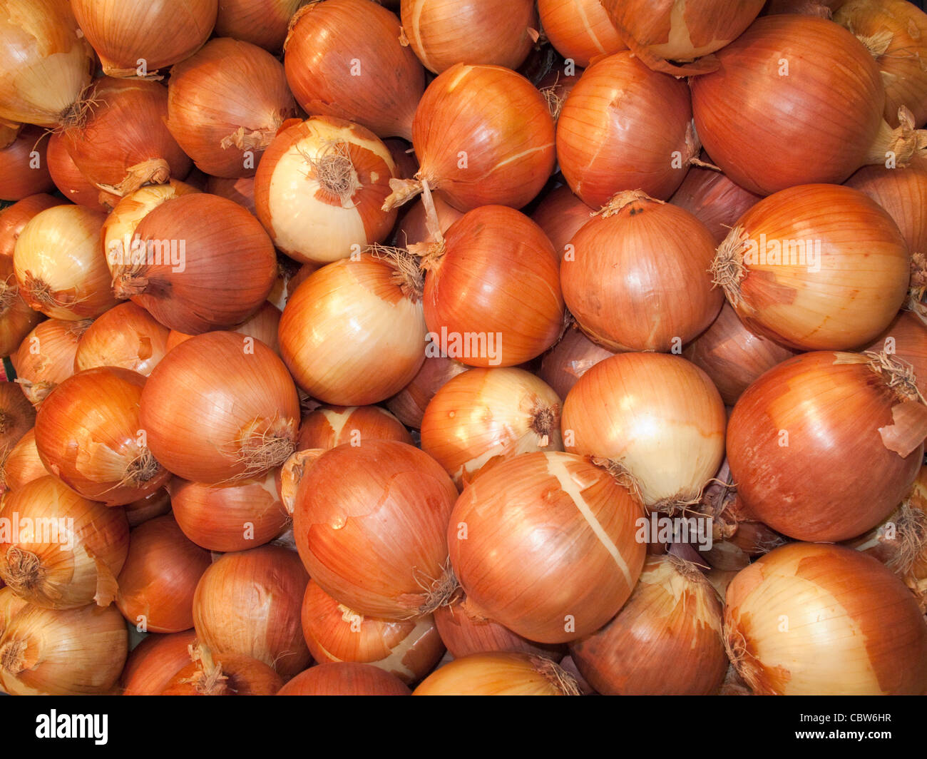 Healthy onions hi-res stock photography and images - Alamy
