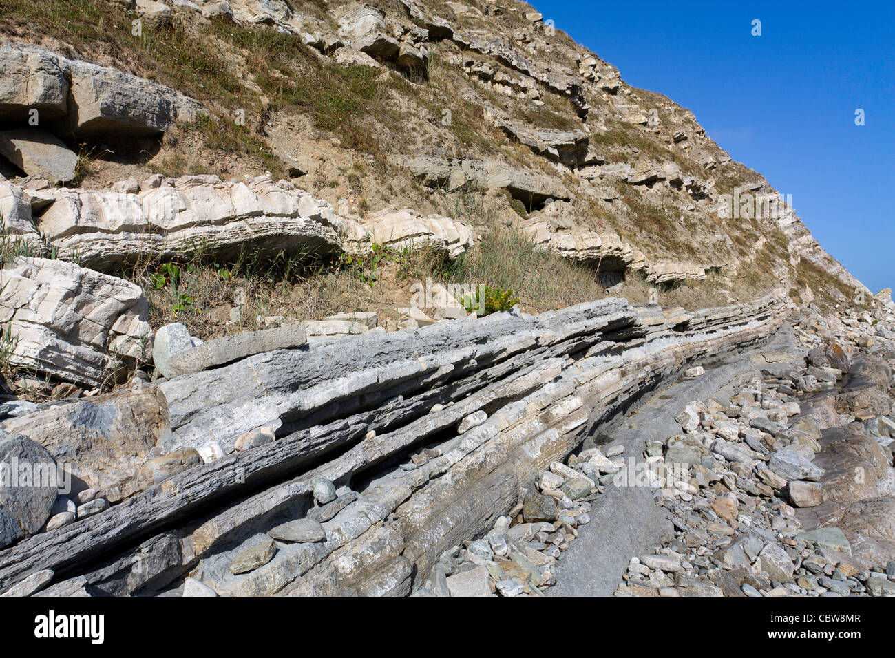 Rock Strata formation on the Dorset coast. Stock Photo