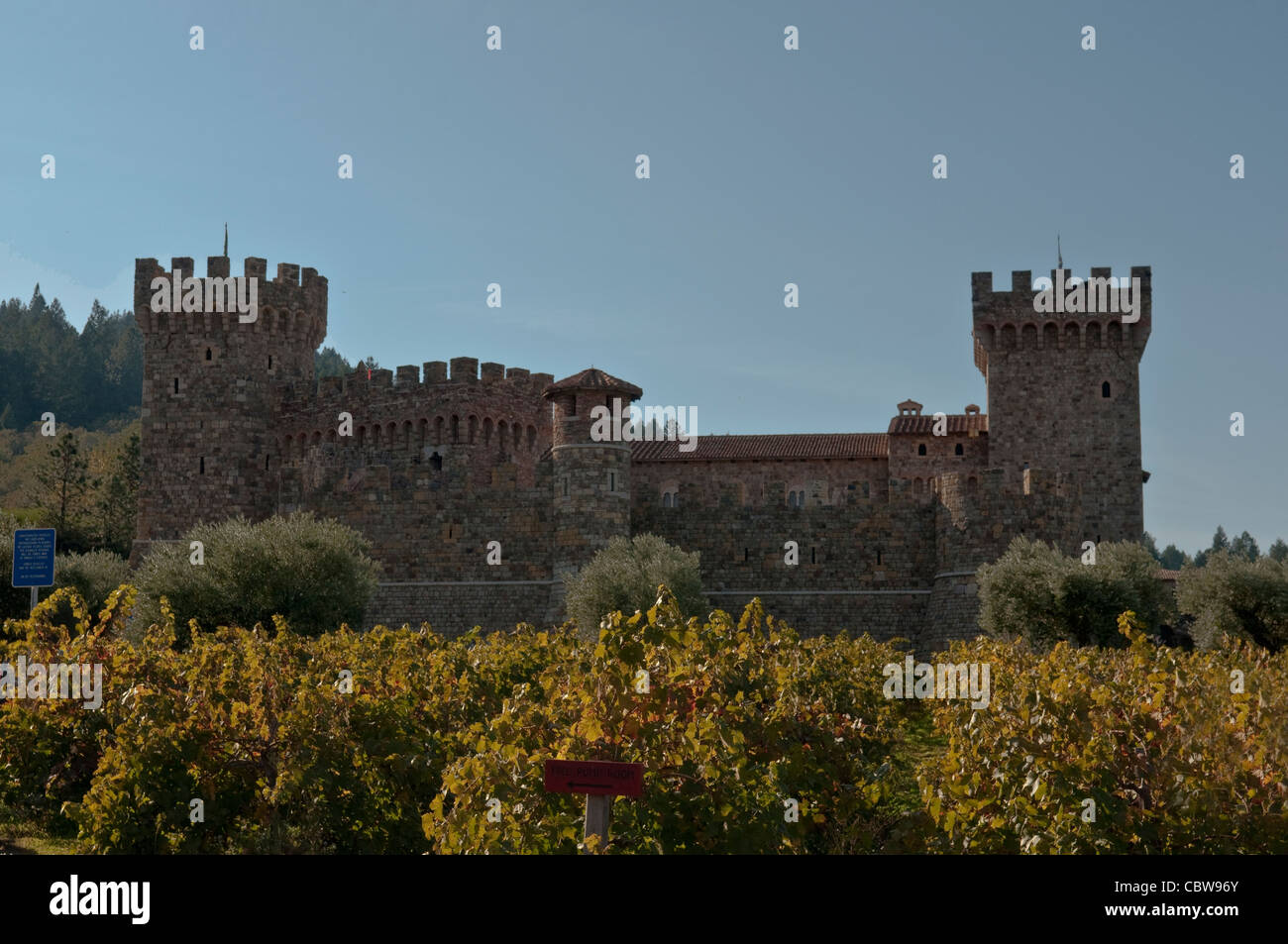 castello di amorosa an