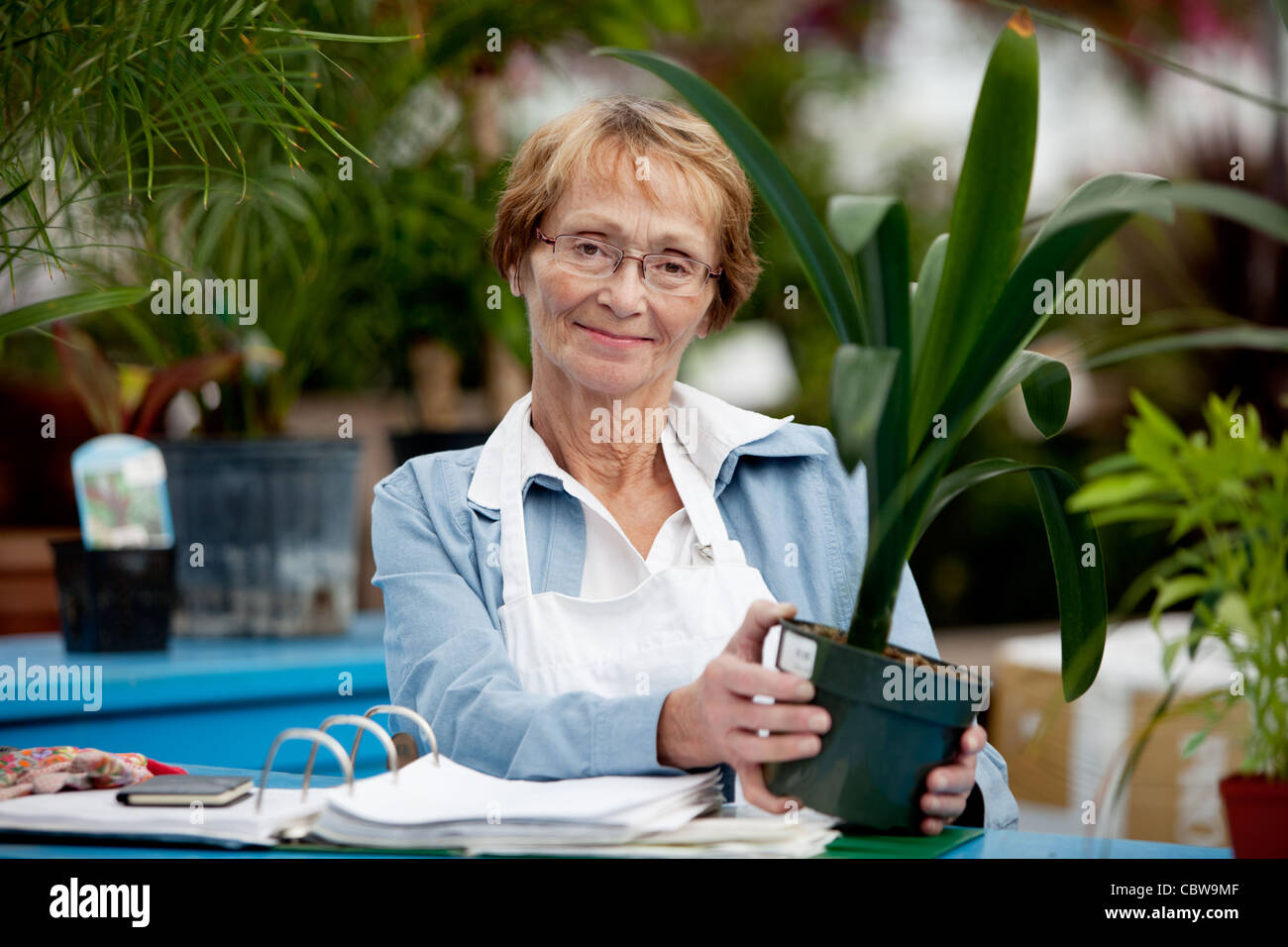 Portrait of a senior woman working in a garden center Stock Photo - Alamy