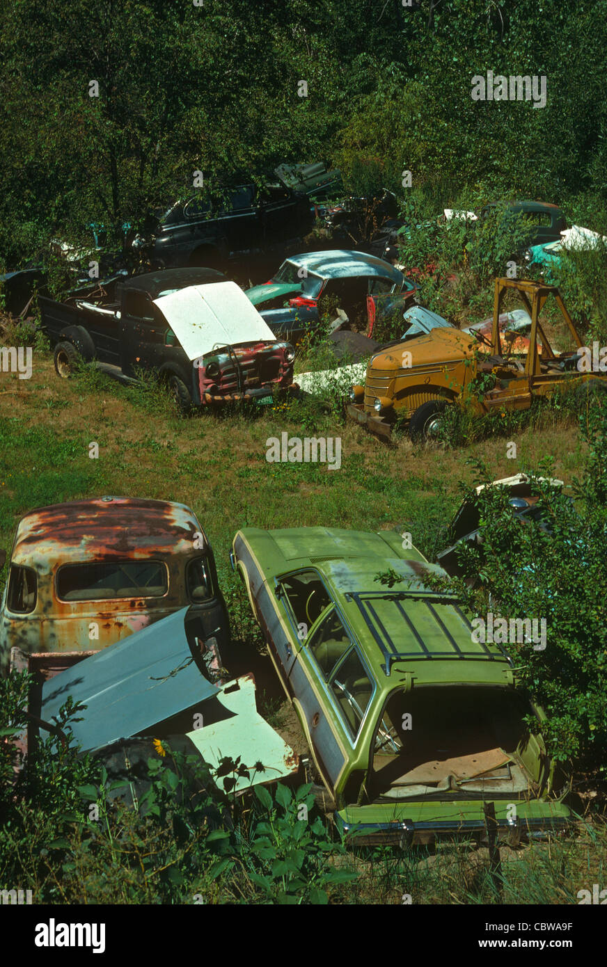 Junk yard with old us cars hi-res stock photography and images - Alamy