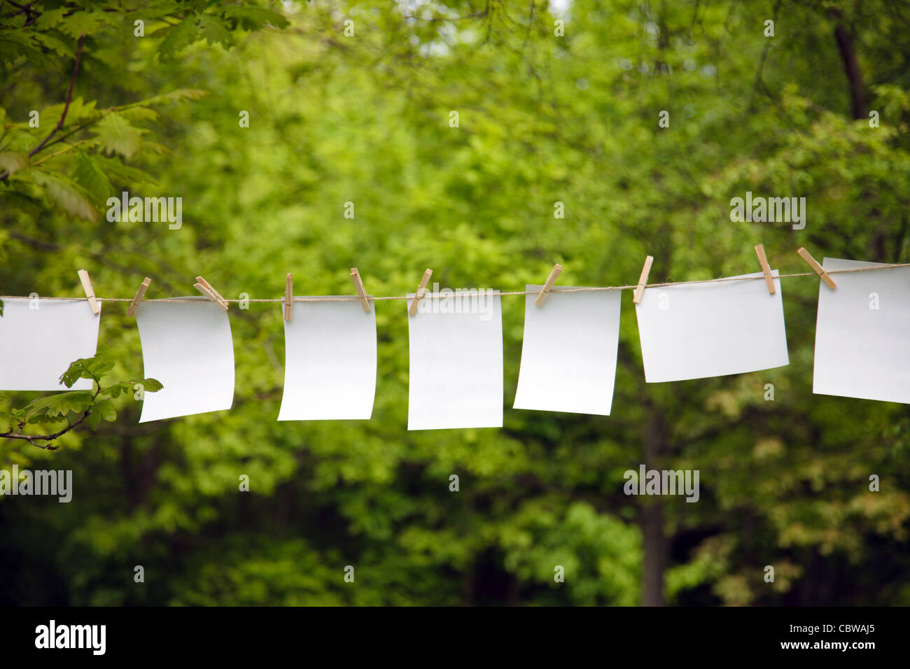 На деревьях вместо листьев мы повесим коммунистов. Лист бумаги висит. Инструменты висят на белом фоне. Белые ленты висят. Бумажная табличка.