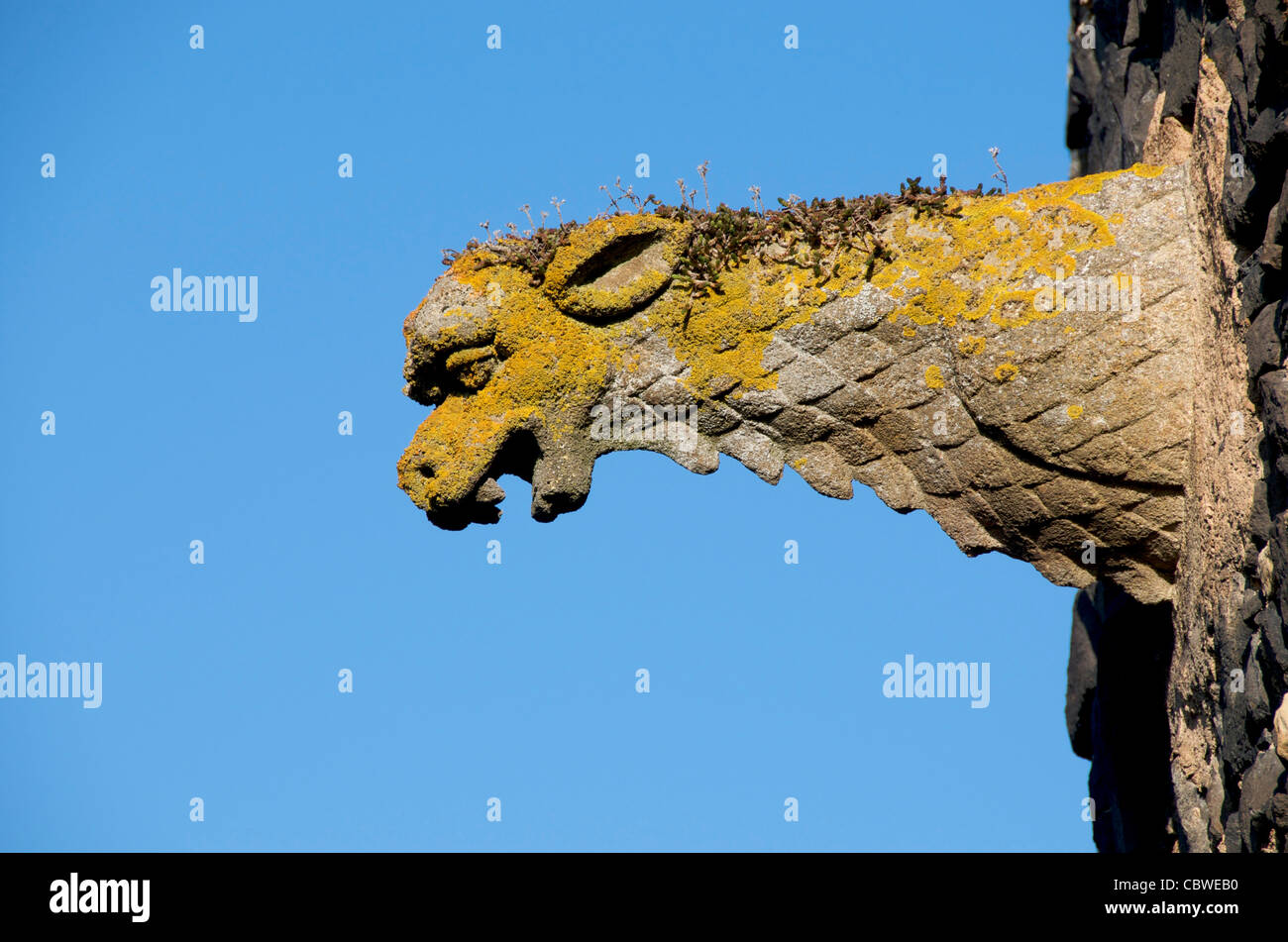 Gargoyle on an old church - architecture. Stock Photo