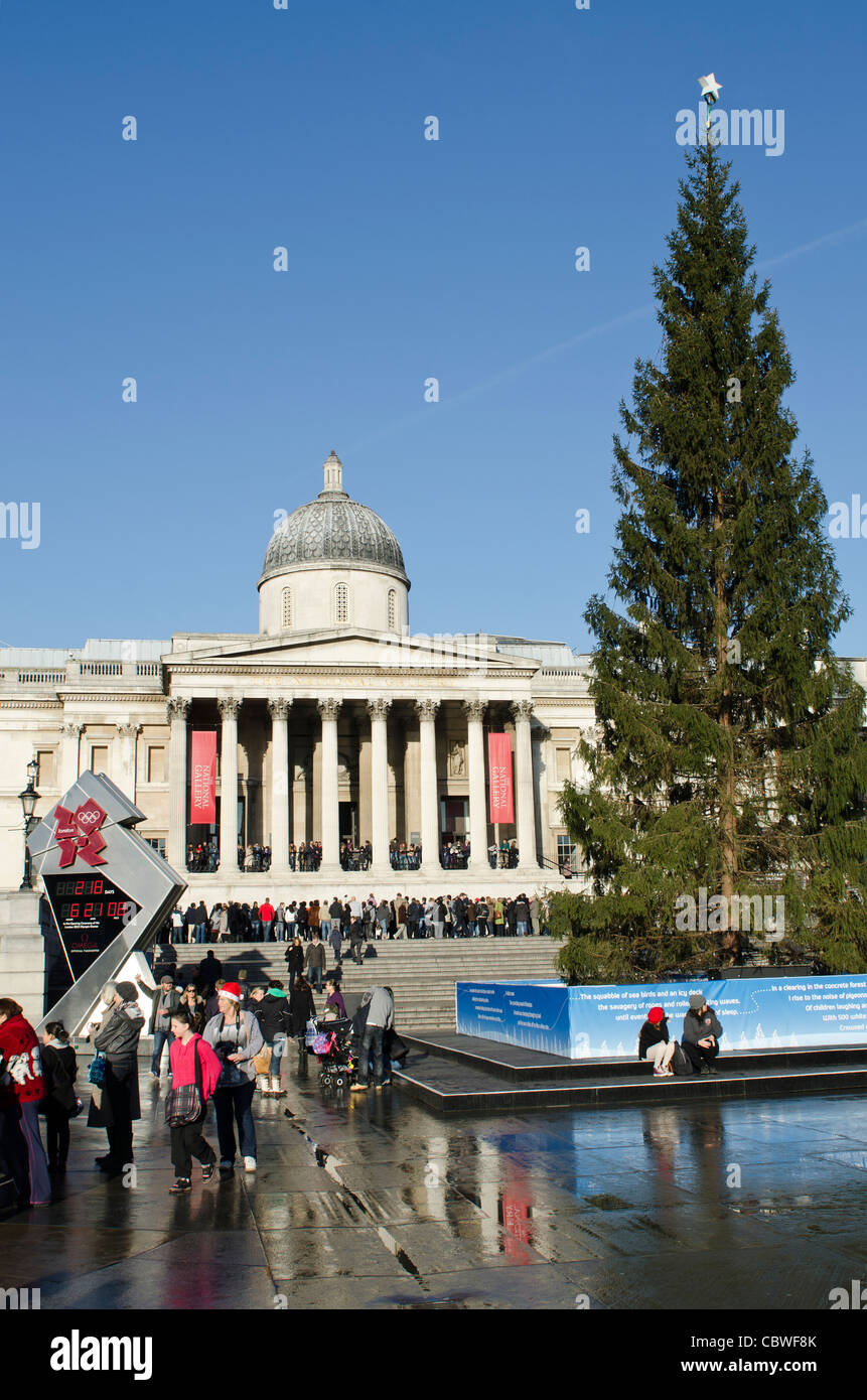 Christmas tree in front of The National Gallery Trafalgar Square London Uk. 2012 London Olympics clock on left. Stock Photo