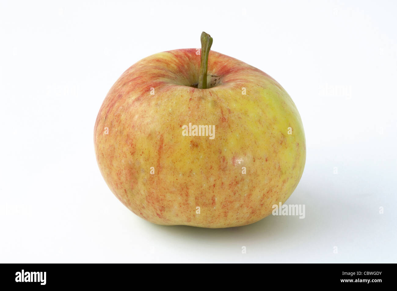 Domestic Apple (Malus domestica), variety: James Grieve, ripe fruit. Studio picture against a white background. Stock Photo