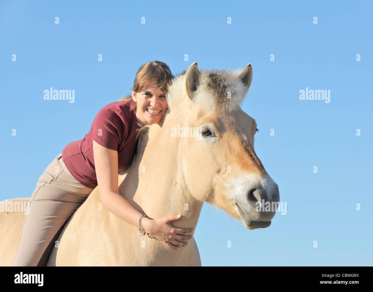 Girl on Norwegian horse Stock Photo Alamy