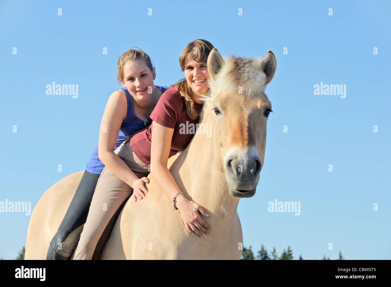 Two girls on Norwegian horse Stock Photo Alamy