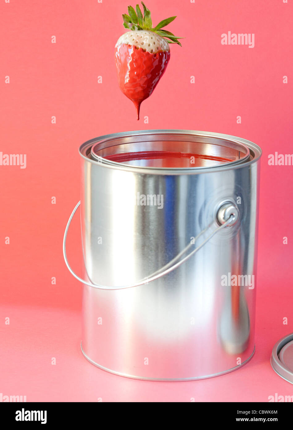 white strawberry dipped into a can of red paint Stock Photo