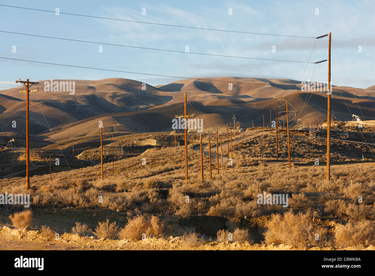 View of power poles on the MidwaySunset oil field near Taft