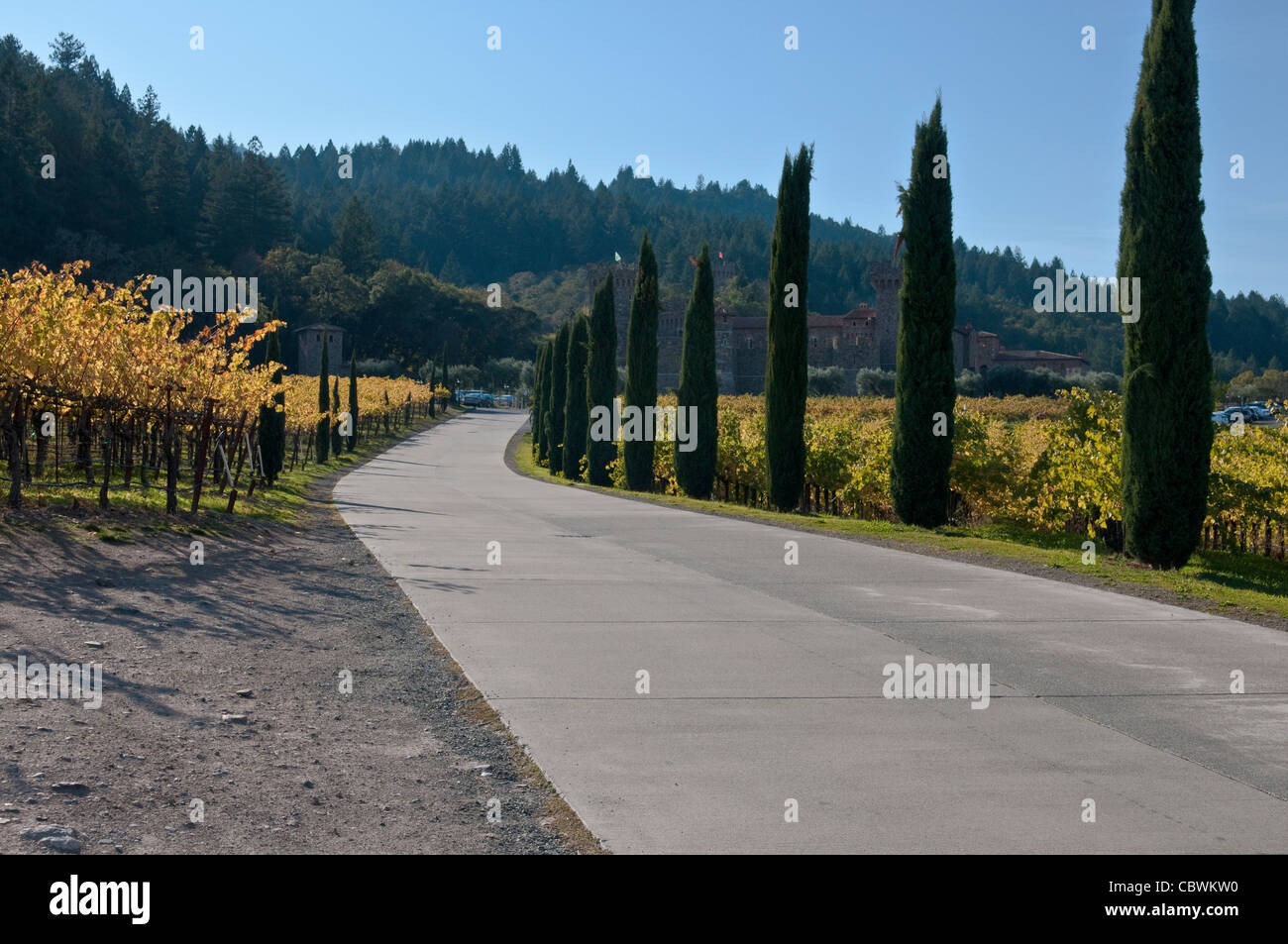 Driveway to Castello di Amorosa an Italian style castle winery in the northern part of Napa Valley, in California Stock Photo
