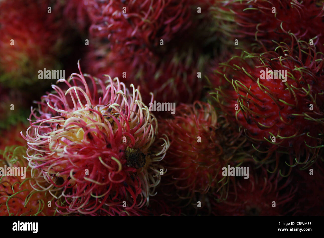 Red hairy fruit hi-res stock photography and images - Alamy