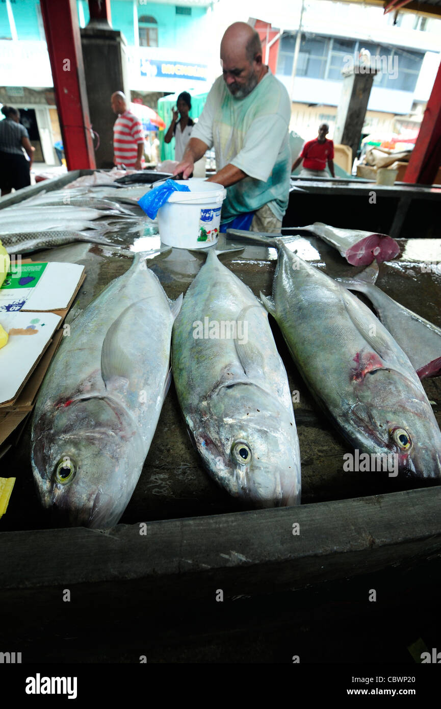 Fish market, Male, Seychelles Stock Photo Alamy