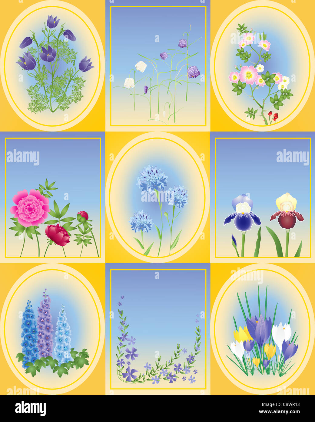 an illustration of a variety of spring and summer flowers in oval and rectangle shapes and yellow background Stock Photo