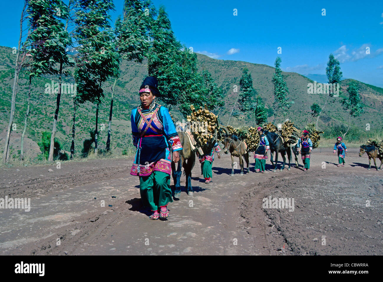 Bai women with loaded mules Yunnan China Stock Photo