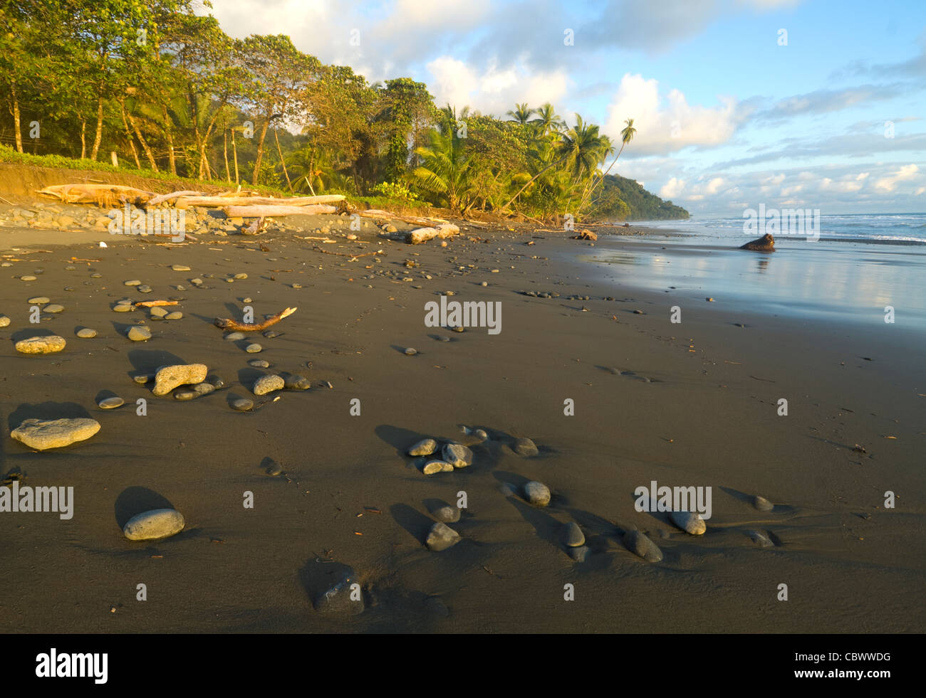 Beach Punta Banco Puntarenas Costa Rica Stock Photo Alamy