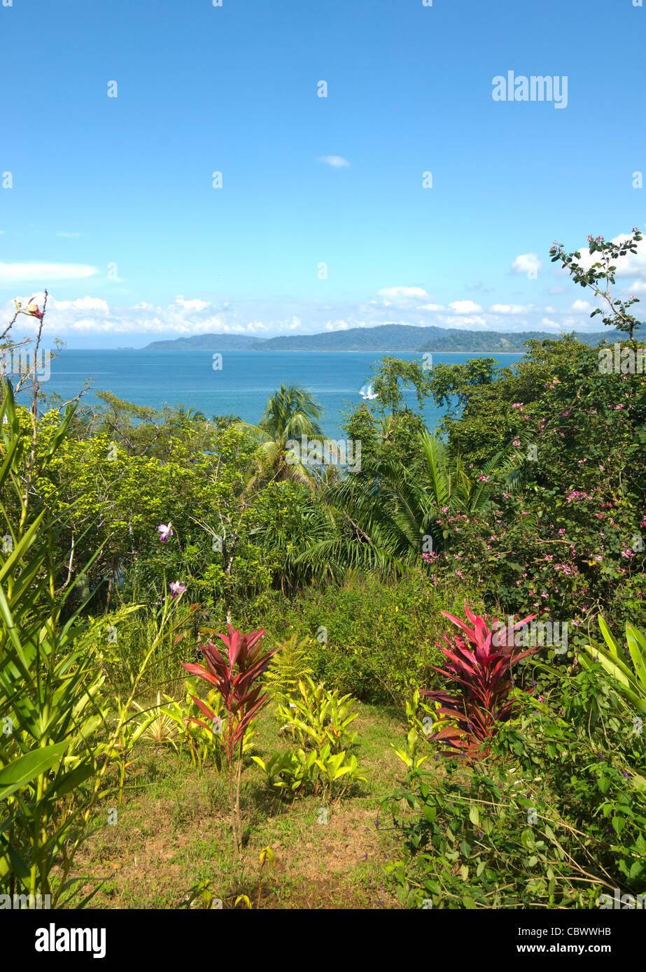 Drake Bay Osa Peninsula Costa Rica Stock Photo - Alamy