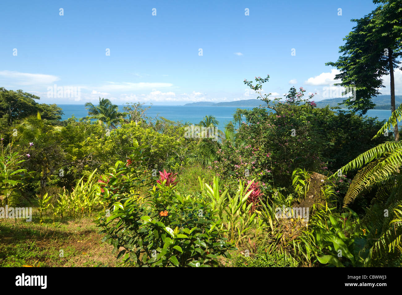 Drake Bay Osa Peninsula Costa Rica Stock Photo - Alamy