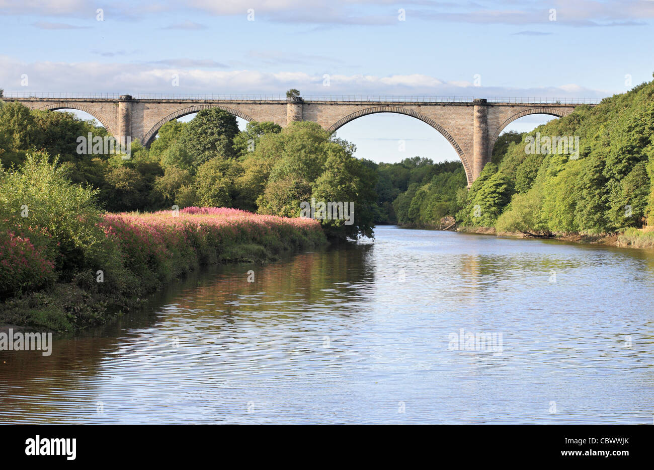 Victoria Viaduct Washington - from the West in summer. North east England UK Stock Photo