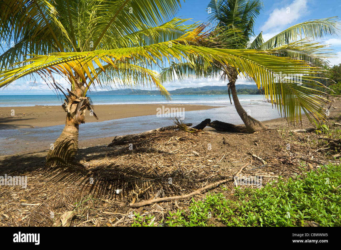 Drake Bay Osa Peninsula Costa Rica Stock Photo - Alamy