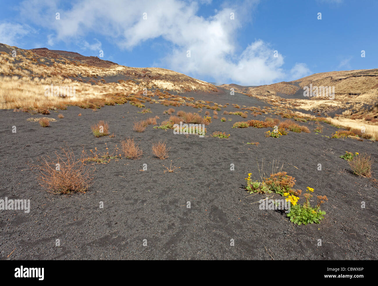 Vulcan landscape at Mount Etna, Sicily, Italy Stock Photo
